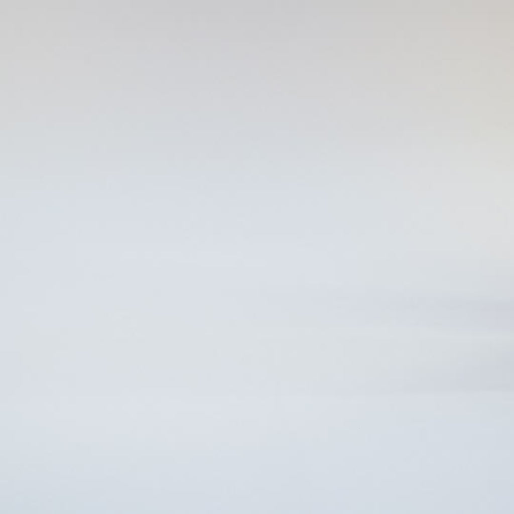 Vancouver | Snake/Off White | Dames