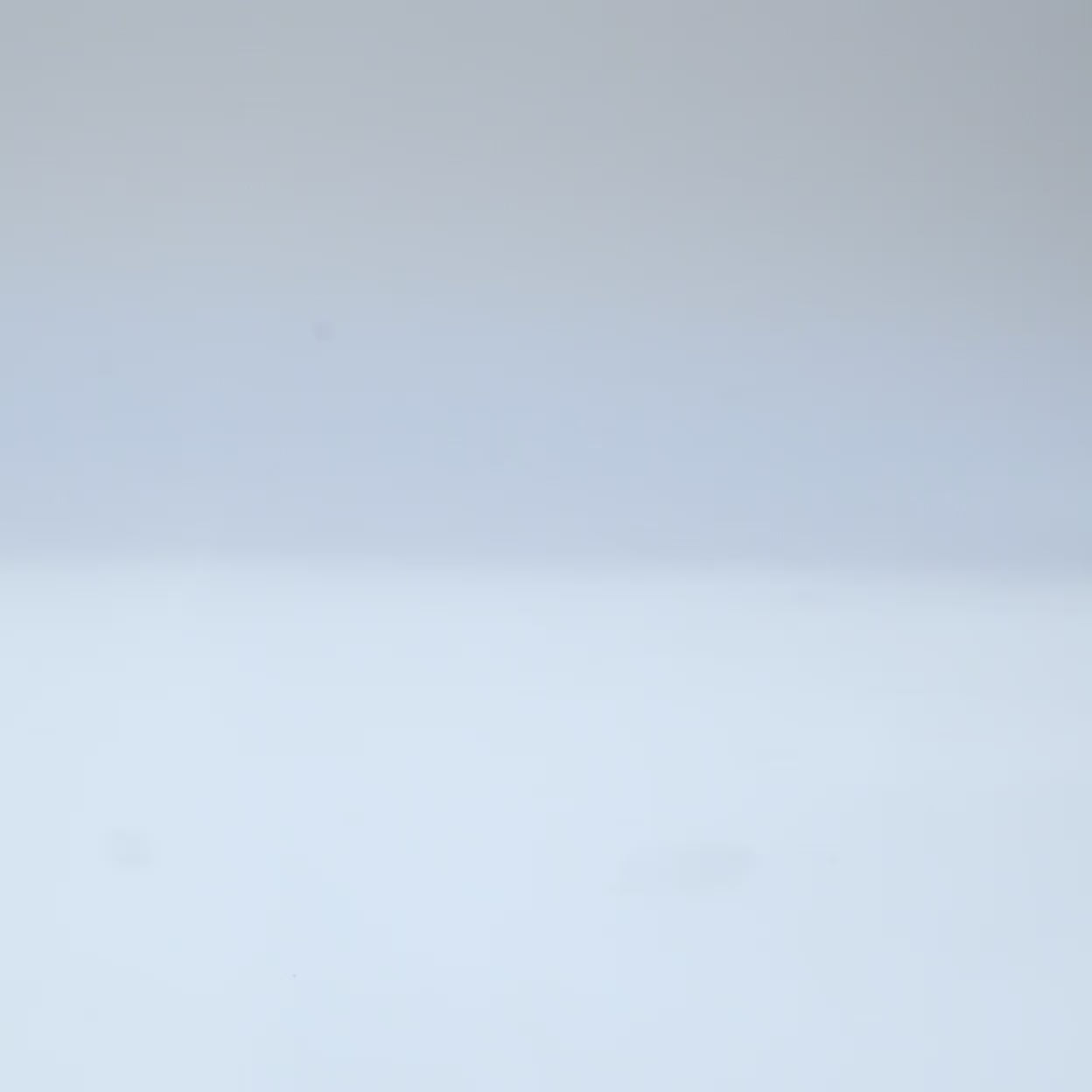Glide | Light Bone/Off White/Sage Green | Men