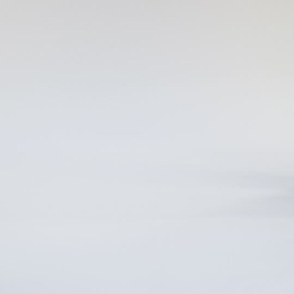 Glide | Light Bone/Off White/Cheetah | Women